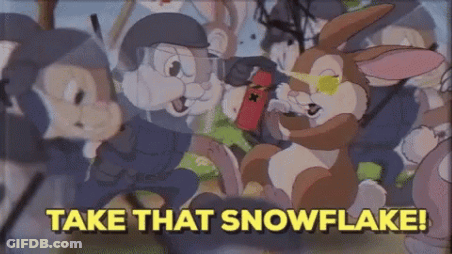 Take That Snowflake GIF