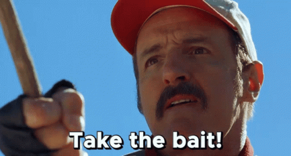 Take The Bait Fishing GIF