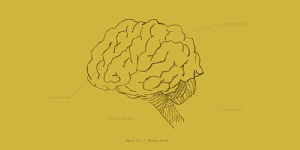 Taking Out A Piece Of Brain GIF