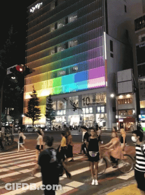 Taking Picture Here In Japan GIF