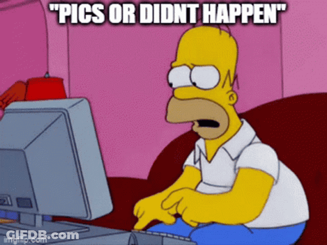 Taking Picture Homer Simpson Cartoon Series GIF