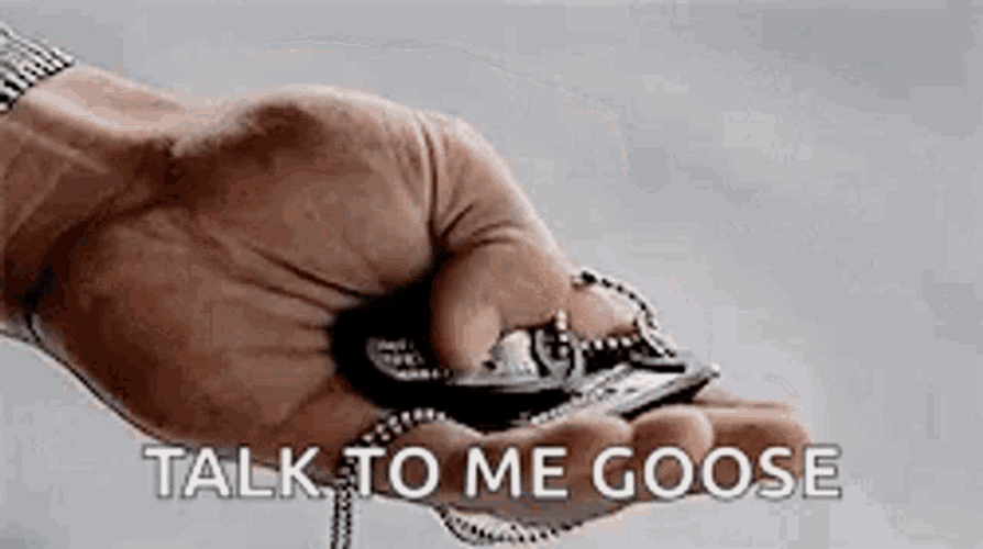 Talk To Me Goose Dog Tag GIF