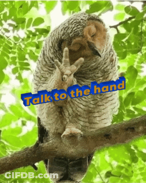 Talk To The Hand Owl Gesture GIF