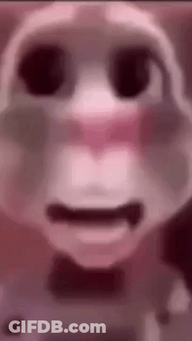 Talking Cat With Bow Tie GIF