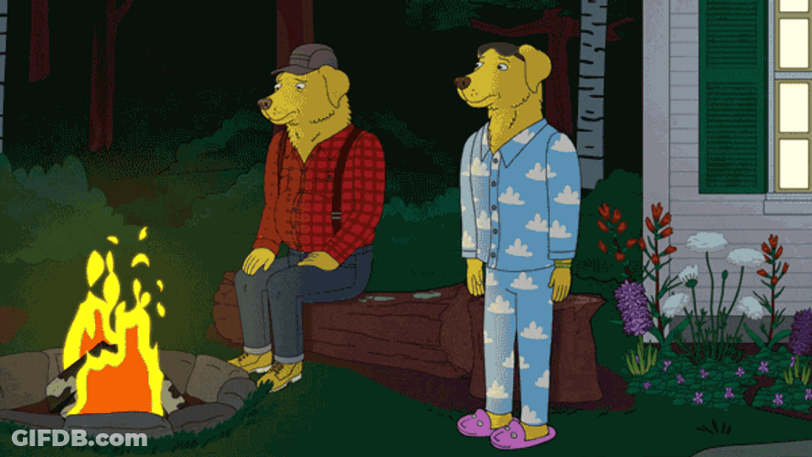 Talking Dogs Sit Down With Bonfire GIF