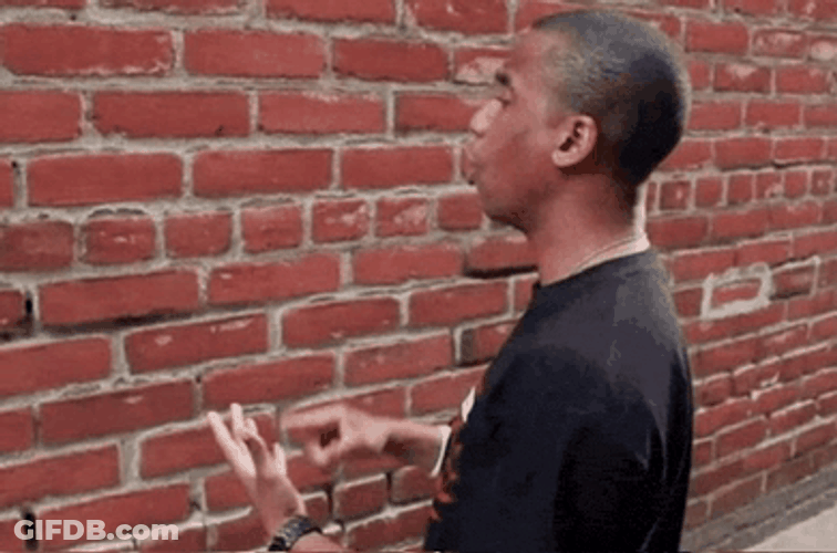 Talking To A Wall Meme GIF
