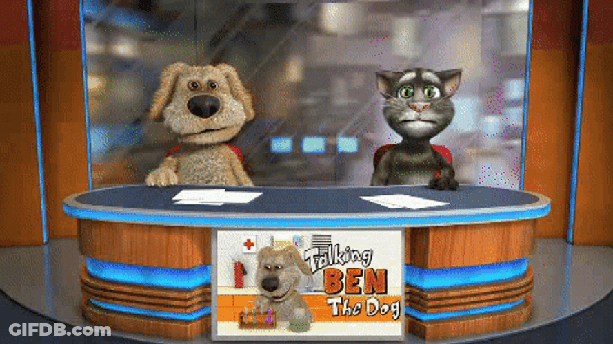 Talking Tom And Ben Fighting GIF