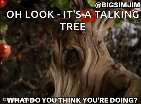 Talking Tree Saying Oh Look GIF