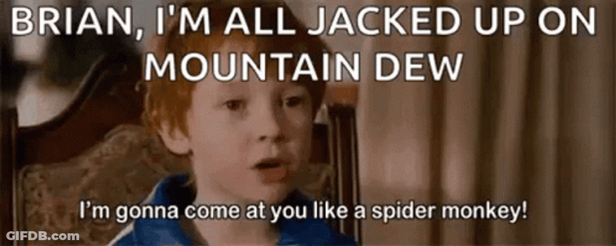 Talladega Nights Spider Monkey GIF