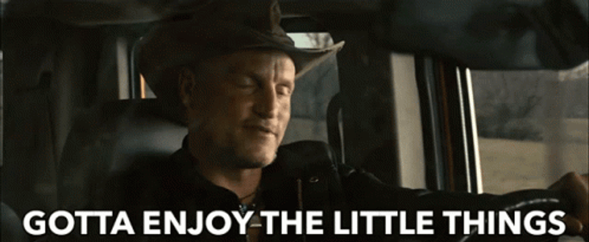 Tallahassee Enjoying Small Things Zombieland GIF