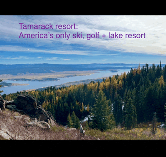 Tamarack Resort Meme GIF