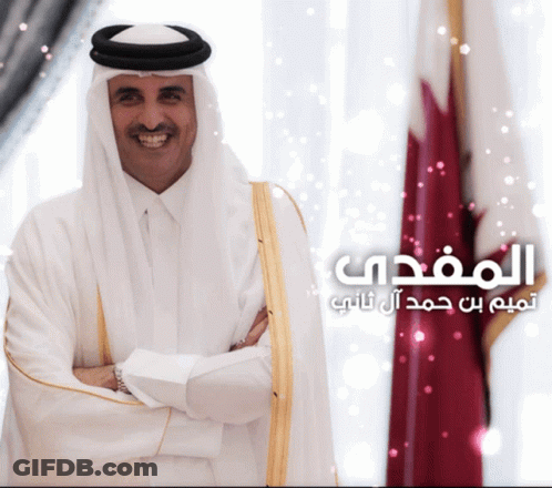 Tamim Althani Qatar GIF