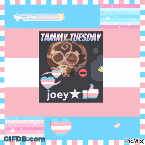 Tammy Tuesday Joey Thumbs Up GIF