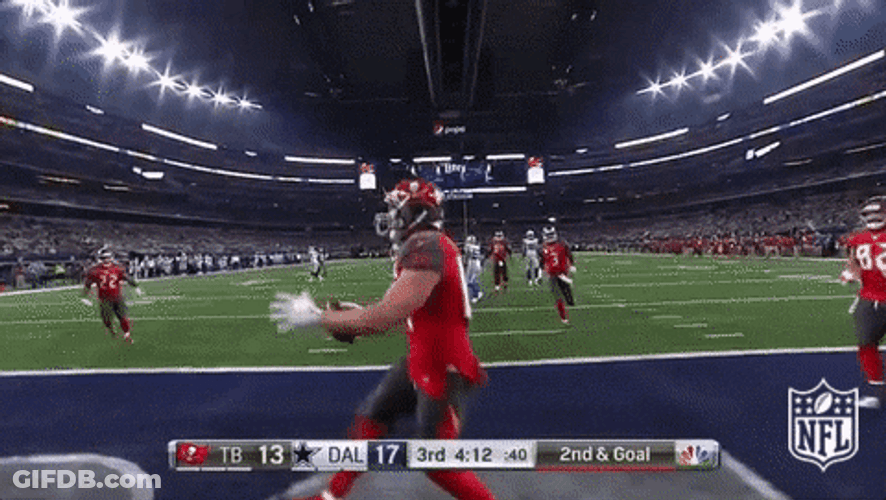 Tampa Bay Buccaneers Cameron Brate Touchdown GIF
