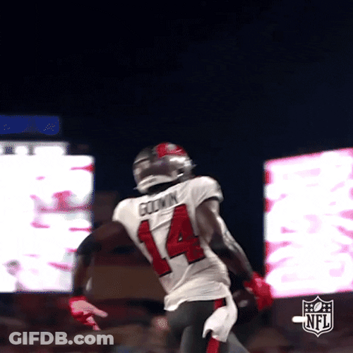 Tampa Bay Buccaneers Chris Godwin And Mike Evans GIF