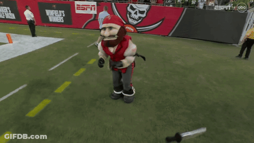Tampa Bay Buccaneers Mascot Running On Field GIF