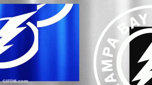 Tampa Bay Logo GIF