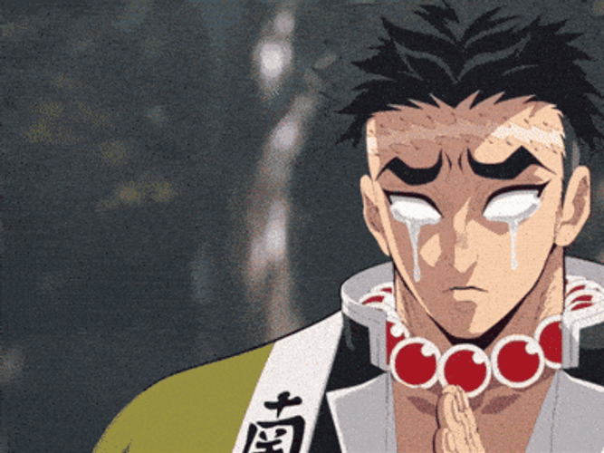 Tanjiro Kamado And Gyomei GIF