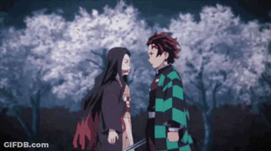 Tanjiro Kamado Nezuko Fighting GIF
