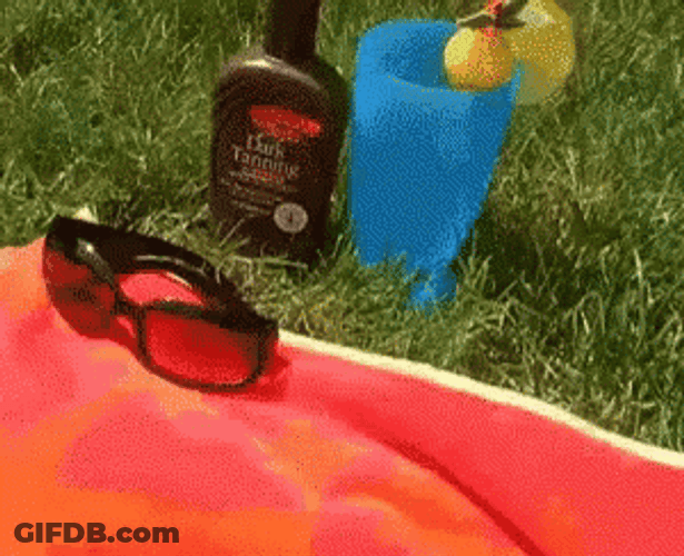 Tanning Labrador With Bikini On GIF