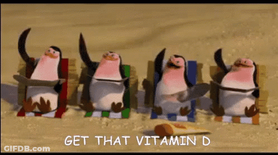 Tanning Penguins Of Madagascar GIF