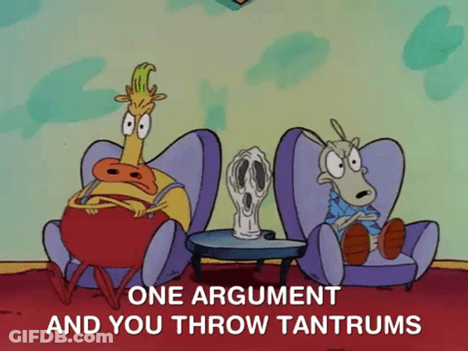 Tantrum Therapy Rocko's Modern Life GIF