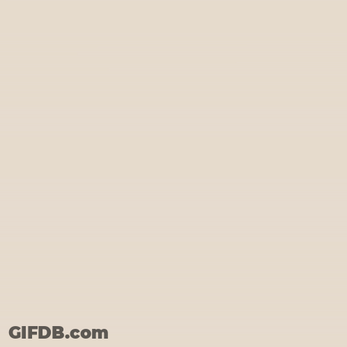 Tanzania Lake Manyara National Park Flamingos And Zebras GIF