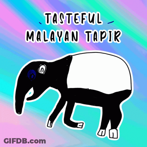 Tapir Saying Tasteful Malayan Tapir GIF