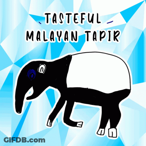 Tapir Tasteful Malayan Tapir GIF