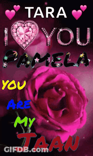 Tara Pamela You Are My Jaan With A Pink Rose GIF