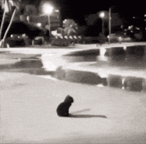 Taraterrorful Tara Terrorful GIF