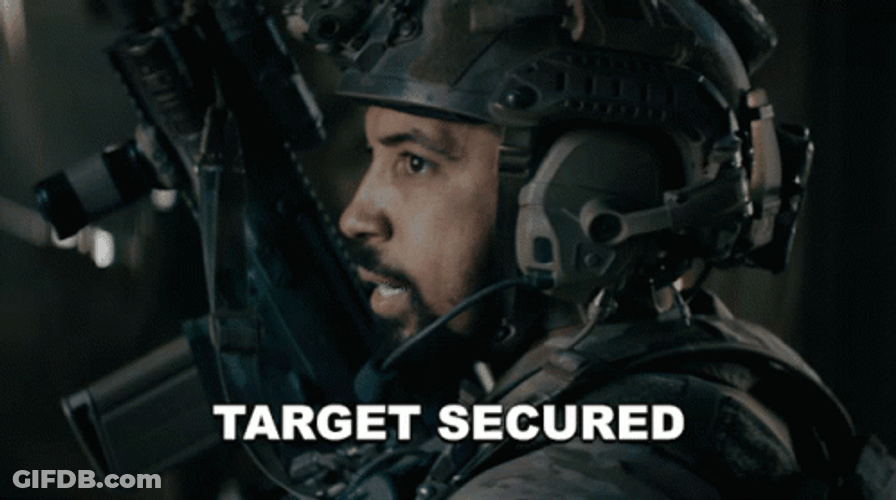Target Secure Seal Team GIF