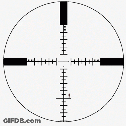 Target Sniper Gun Shot Mark GIF