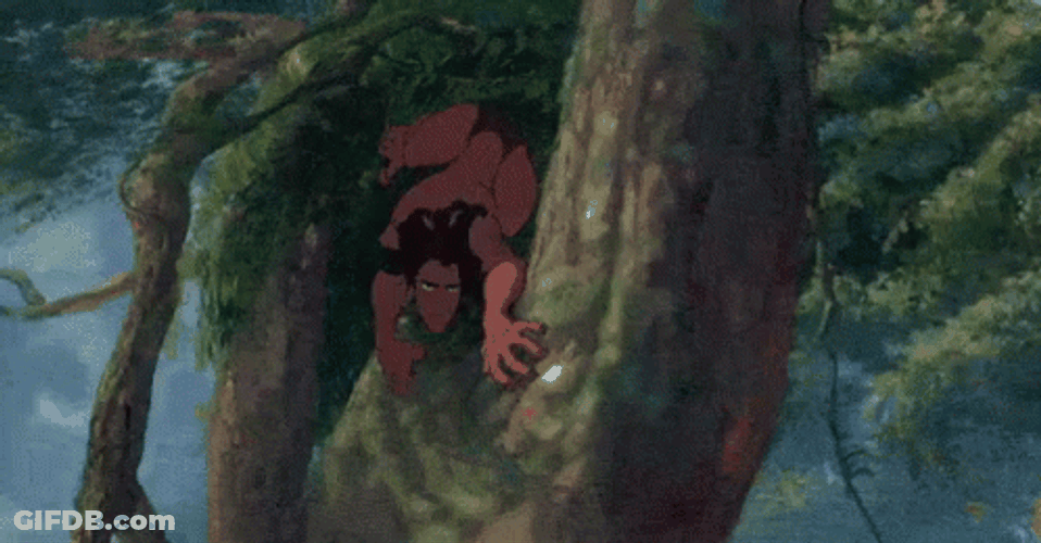 Tarzan 1999 Film Jungle Tree Hopping GIF