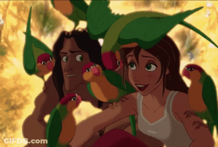 Tarzan And Jane Jungle Birds GIF