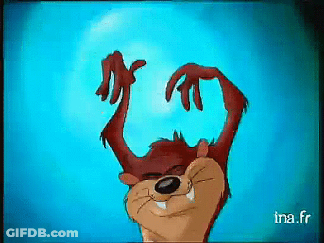 Tasmanian Devil Attacking The Camera GIF
