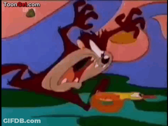 Tasmanian Devil Chasing Yellow Duck GIF