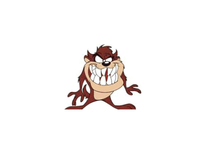 Tasmanian Devil With Pumpkin GIF