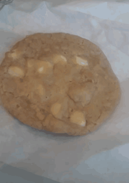 Tasty Cookie Golden Brown Hue GIF
