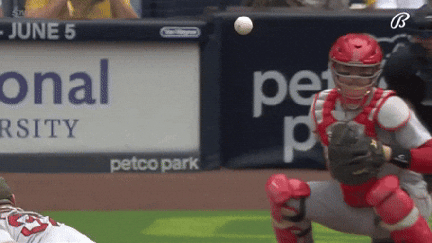Tatis Jr Sportsbetting GIF