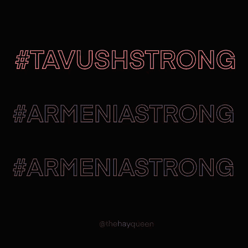 Tavush Strong Arm Gif GIF