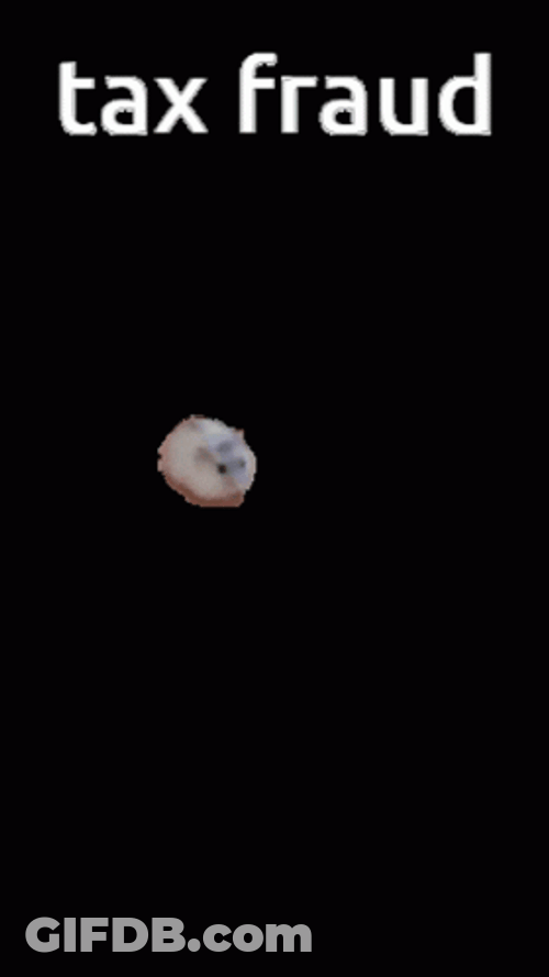 Taxes Fraud Hamster Running GIF