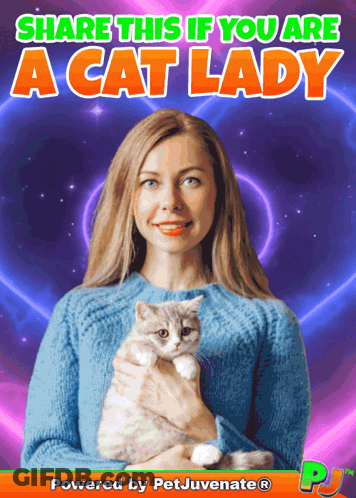 Taylor Swift Holding Two Cats And A Puppy GIF