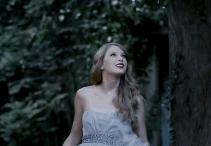Taylor Swift Wonderstruck Walking GIF