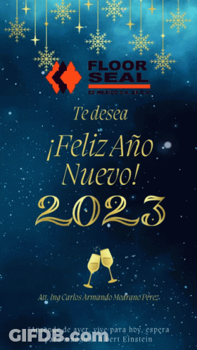 Te Desea Feliz Año Nuevo Poster GIF