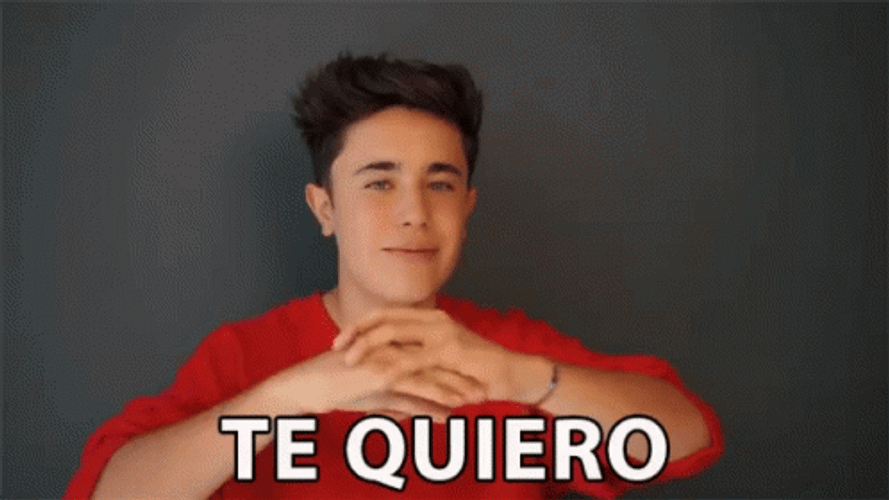 Te Quiero Heart Hand Gesture GIF