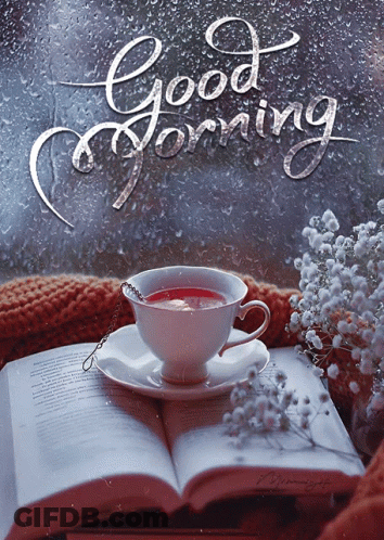 Tea Cup On Open Book By Window Saying Good Morning GIF