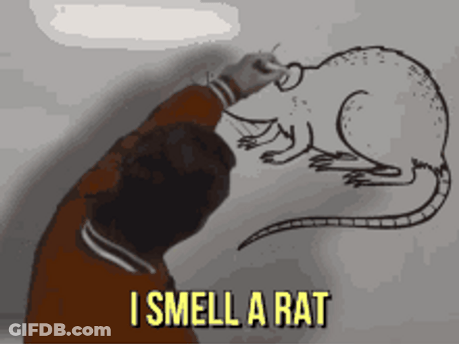 Teacher Draw Rat Whiteboard GIF