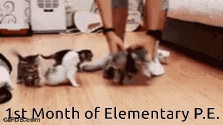 Teacher Pe GIF