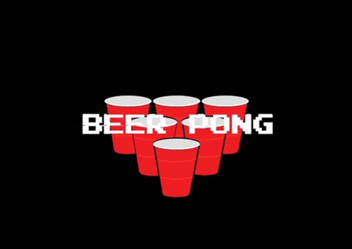 Team Beer Pong GIF
